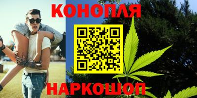 стаф Кимры